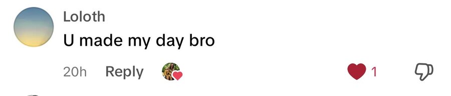 Comment: U made my day bro